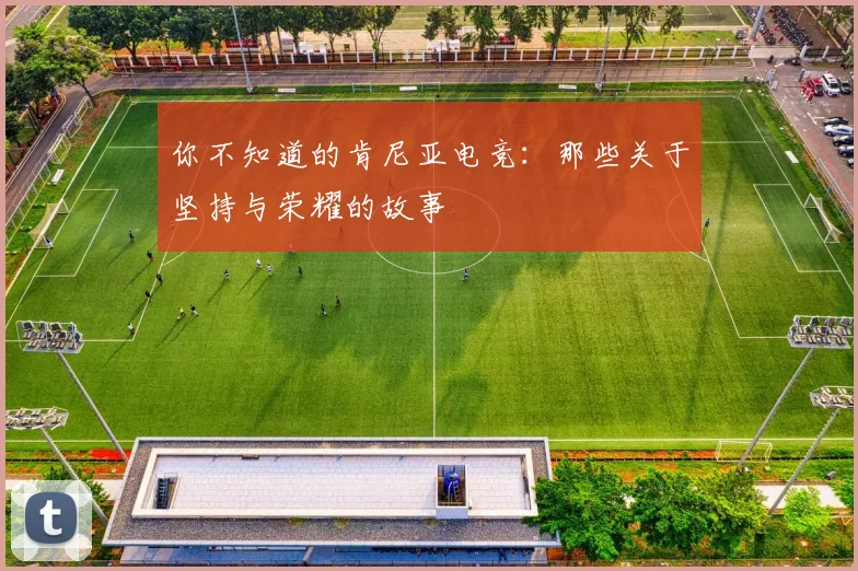 你不知道的肯尼亚电竞：那些关于坚持与荣耀的故事